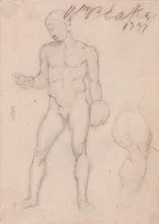 Classical Male Nude